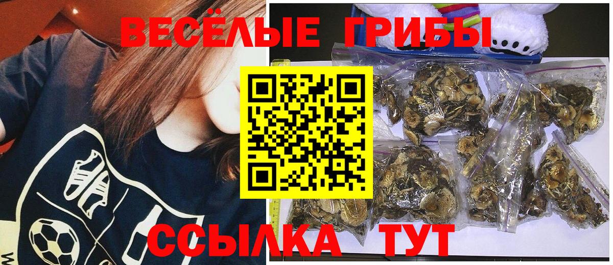 Галлюциногенные грибы MAGIC MUSHROOMS Новороссийск